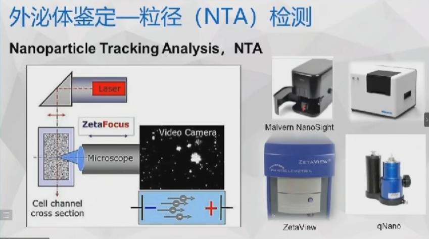 外泌体粒径NTA检测