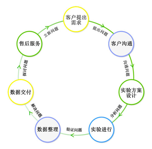 斑马鱼科研课题服务