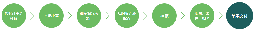 细胞迁移侵袭实验