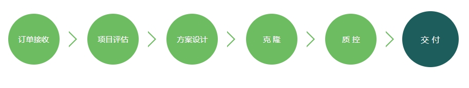 亚克隆/载体构建